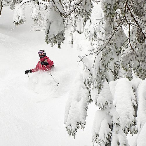 Photo of skier in deep powder that hides lower half of her body