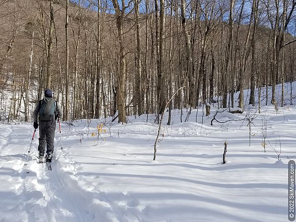 Nordic skier follows ski tracks through the snow