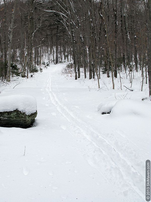 A peek up the Bruce Trail at Stowe's cross-country center