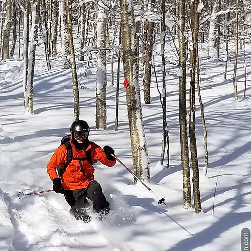 Photo of a telemark skier turning in the powder