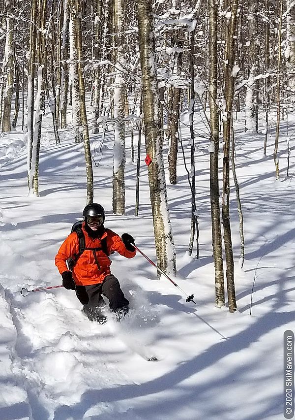 Photo of a telemark skier turning in the powder