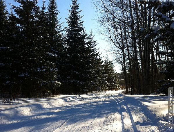 A cold and clear day on ski trails