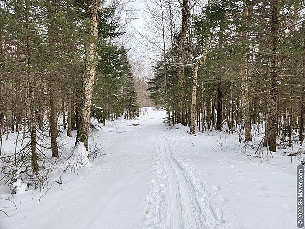 Photo of Nordic ski trail with thin spring snow and a wet area