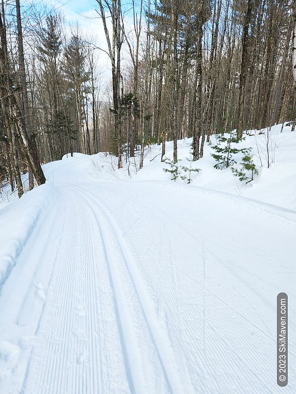 Another well-groomed ski trail through the woods