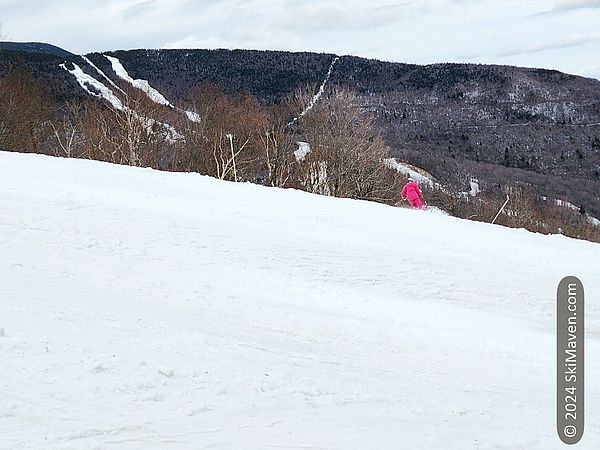 Skier makes a slushy turn in the snow with nearby ski trails in background