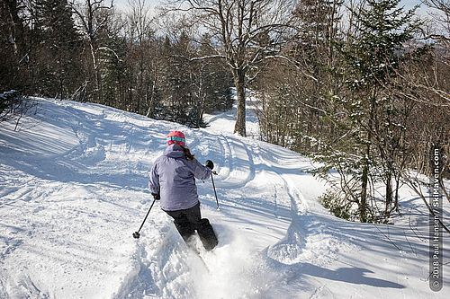 Photo of skier in powder at Vermont's Bolton Valley