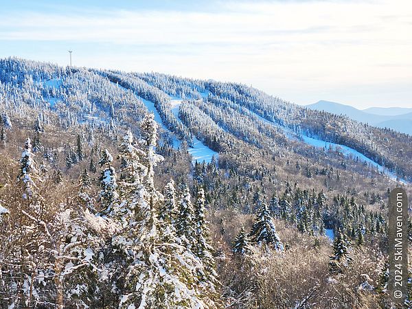 View of mountain with snowy ski trails and trees