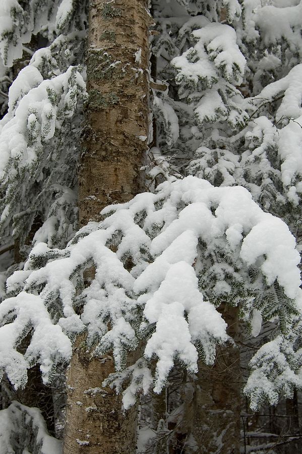 There's snow in Vermont. How scrumptious!