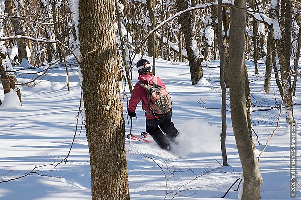 Photo of a skier climbing up through the snowy woods