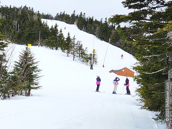 Three skiers wearing pink tutus