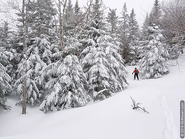 Skier breaks trail in deep snow surrounded by snowy trees