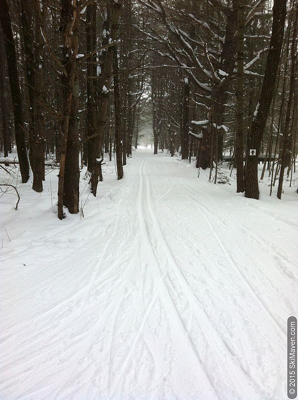 The groomed track runs through trees