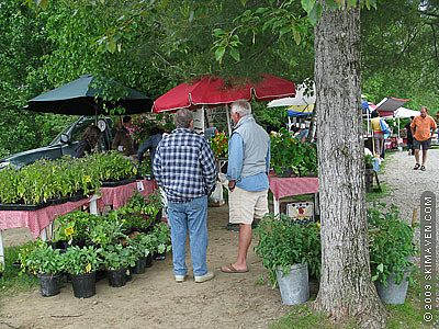 A ski town farmers' market in Stowe, Vermont
