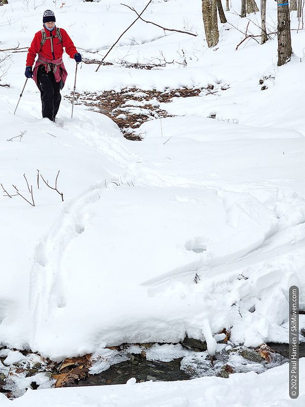 Nordic skier navigates past leaves and a stream