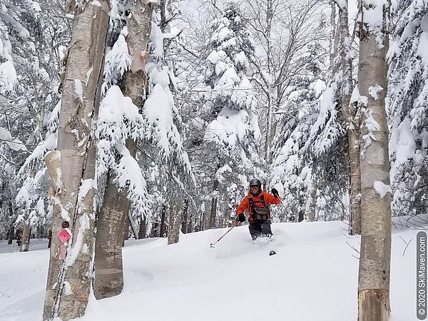 Photo of a telemark skier skiing by in deep snow