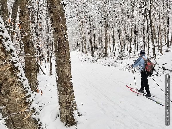 Photo of a Nordic skier striding down a snowy trail