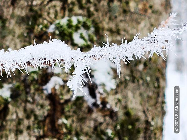 Spiky rime ice on small branch looks like barbed wire