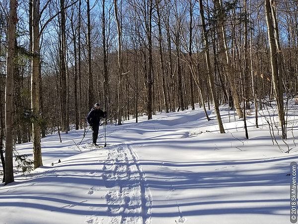 On the cross-country trails at Bolton Valley, Vermont