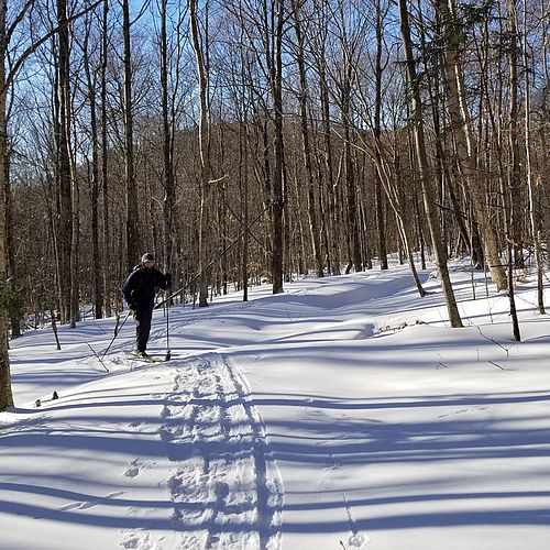 On the cross-country trails at Bolton Valley, Vermont