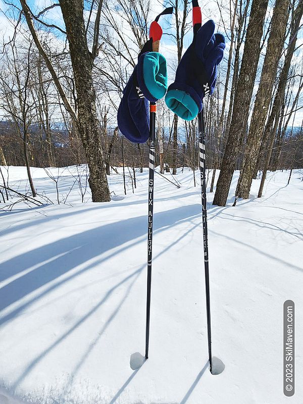 Nordic ski poles in rather deep snow