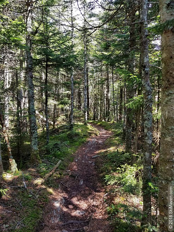 Hiking in Mad River Valley, Vermont