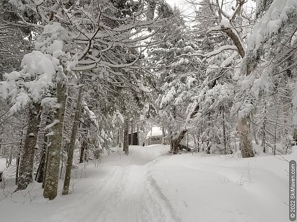 A ski trail leads to a small cabin