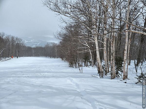 Photo of a wide, empty ski trail with fresh snow and birch trees