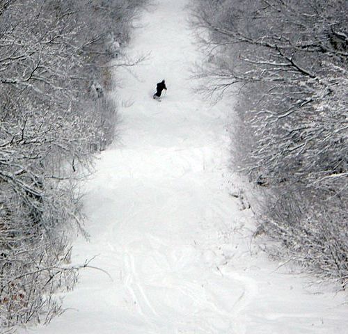 "I smell stuffing!" says this Stowe skier on Nov. 20