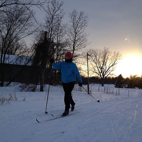 Sunset cross-country skiing