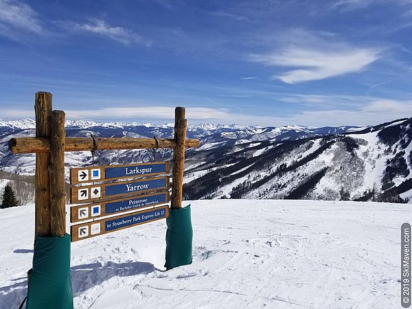 Mountain views from the top of Larkspur Bowl