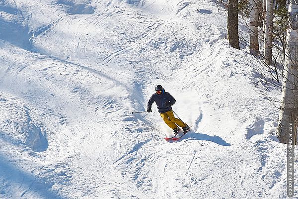 Photo of skier in moguls