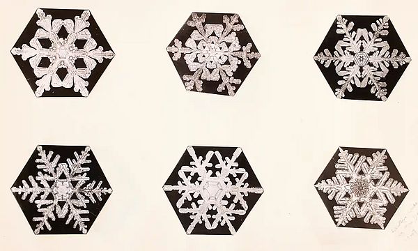 6 intricate snowflake photos by Snowflake Bentley