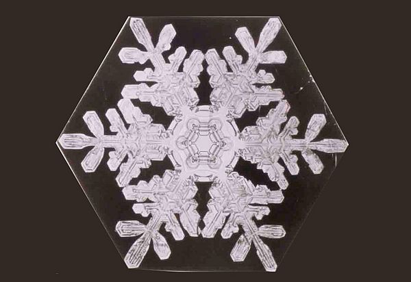 Intricate snowflake photo by Snowflake Bentley