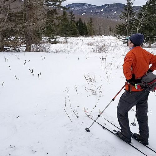 Skier looks at view of wetlands and distant mountains