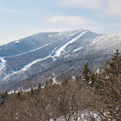 Photo of trails and snowy trees on Lincoln Peak