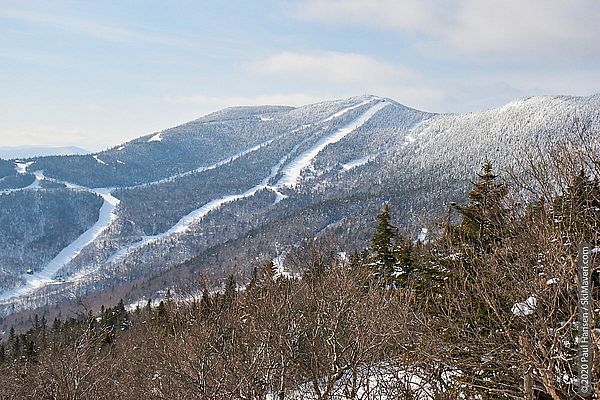 Photo of trails and snowy trees on Lincoln Peak