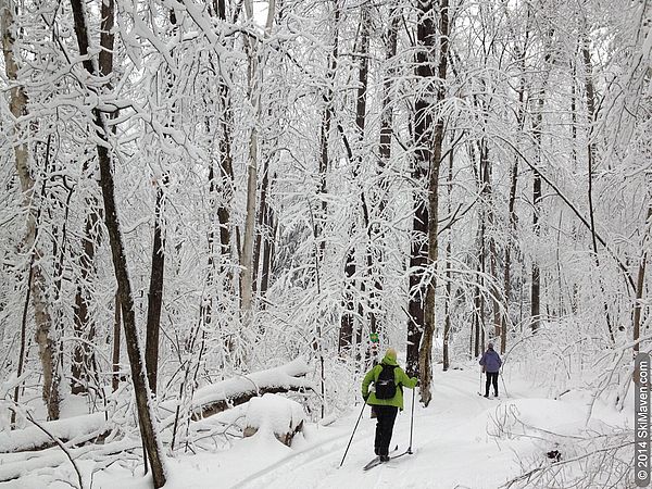 Skiing in a new snow in Vermont