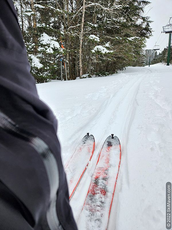 Photo of skis following a skin track up a ski slope