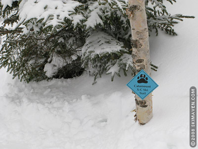 A Catamount Trail marker that is nearly buried in last winter's snow