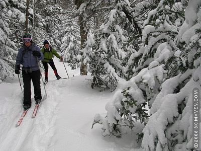 On the Bolton-Trapp ski trail, part of Vermont's Catamount Trail.