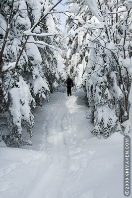 Ah, the beauty of backcountry skiing in Vermont!
