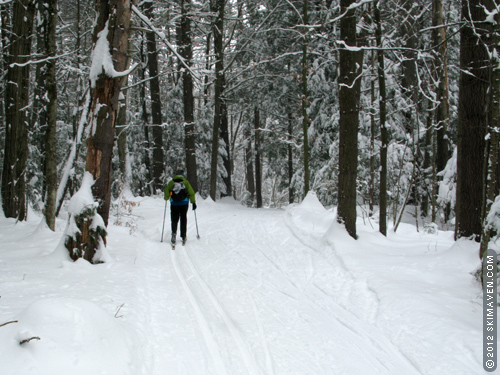 Classic cross-country skiing at Catamount Outdoor Center.