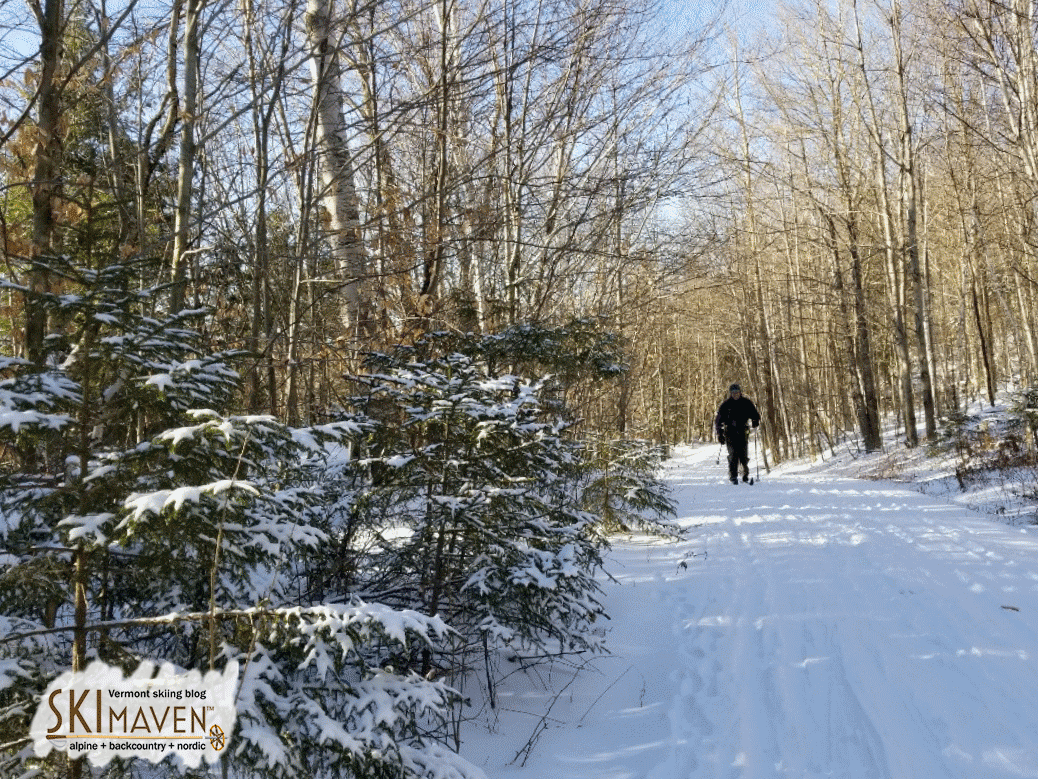 Skiing at Camel's Hump Nordic in Vermont