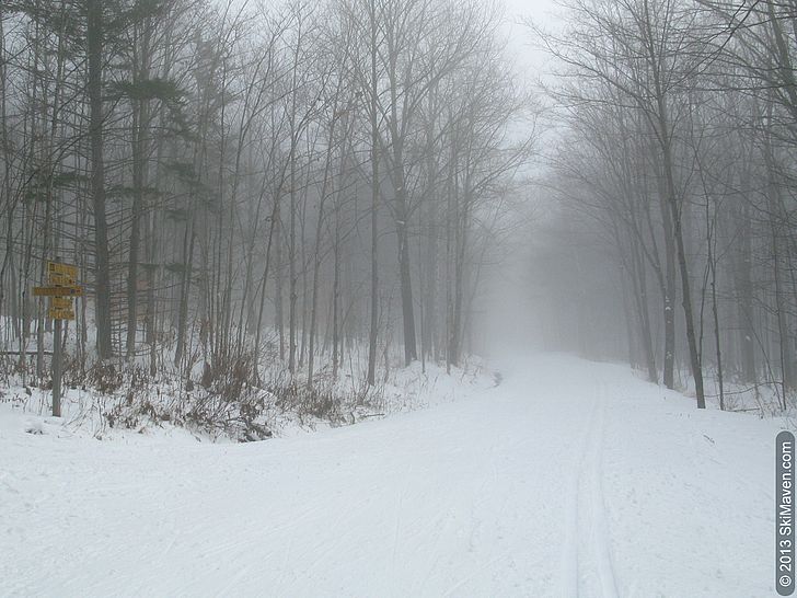 Foggy on cross-country skiing trails at Trapp Family Lodge Foggy on cross-country skiing trails at Trapp Family Lodge