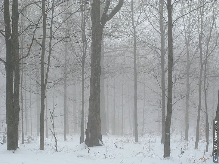 A moody scene at Trapp Family Lodge Nordic Center A moody scene at Trapp Family Lodge Nordic Center