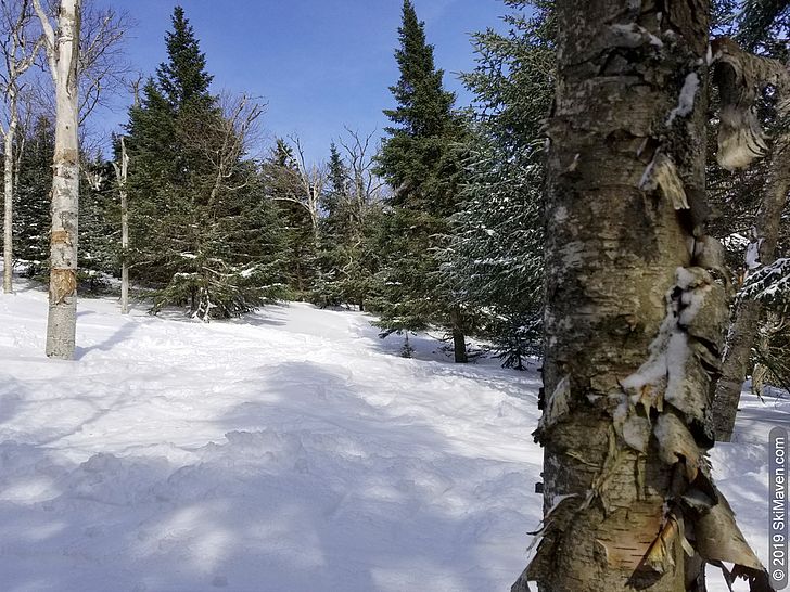 Snowy glades and blue sky