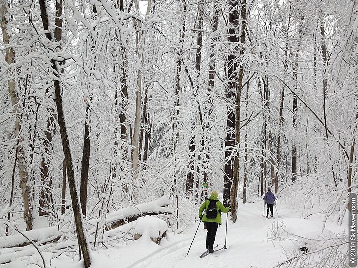 Skiing in a new snow in Vermont Skiing in a new snow in Vermont