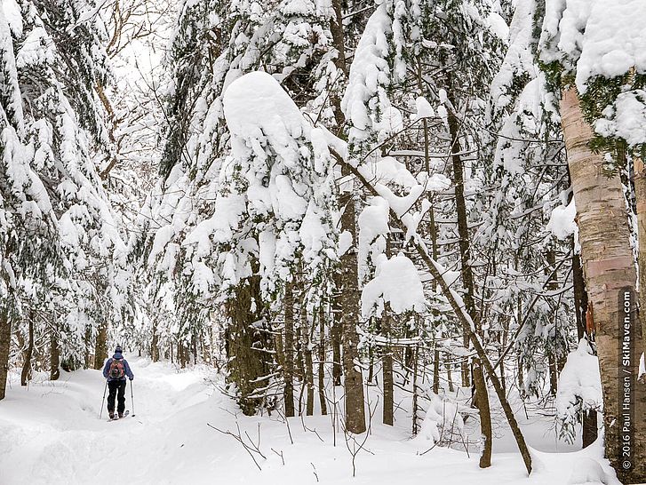 December 2016 Vermont backcountry skiing December 2016 Vermont backcountry skiing