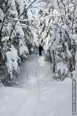 Ah, the beauty of backcountry skiing!