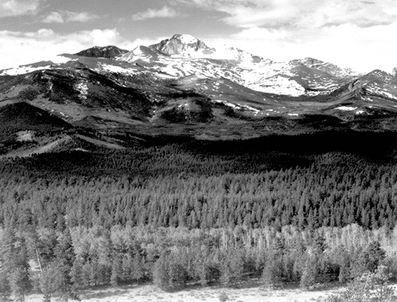 I'm getting a Rocky Mountain high!